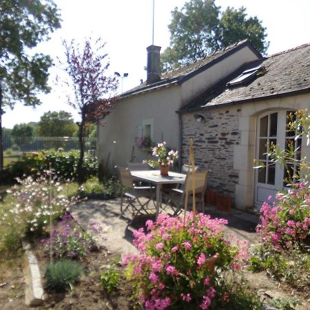 Gite De Bellerive Sainte-Gemme-sur-Loire Dış mekan fotoğraf
